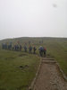  Group B - snaking up Millenium Hill, 33 attended.
